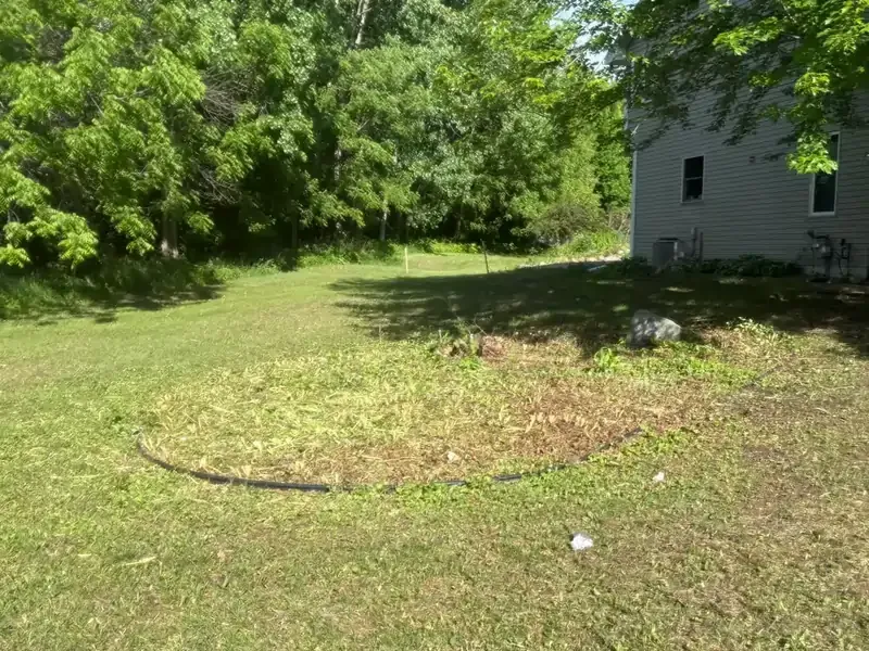 Land overgrown with brush before clearing
